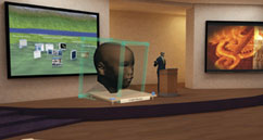 virtuallife1_071029